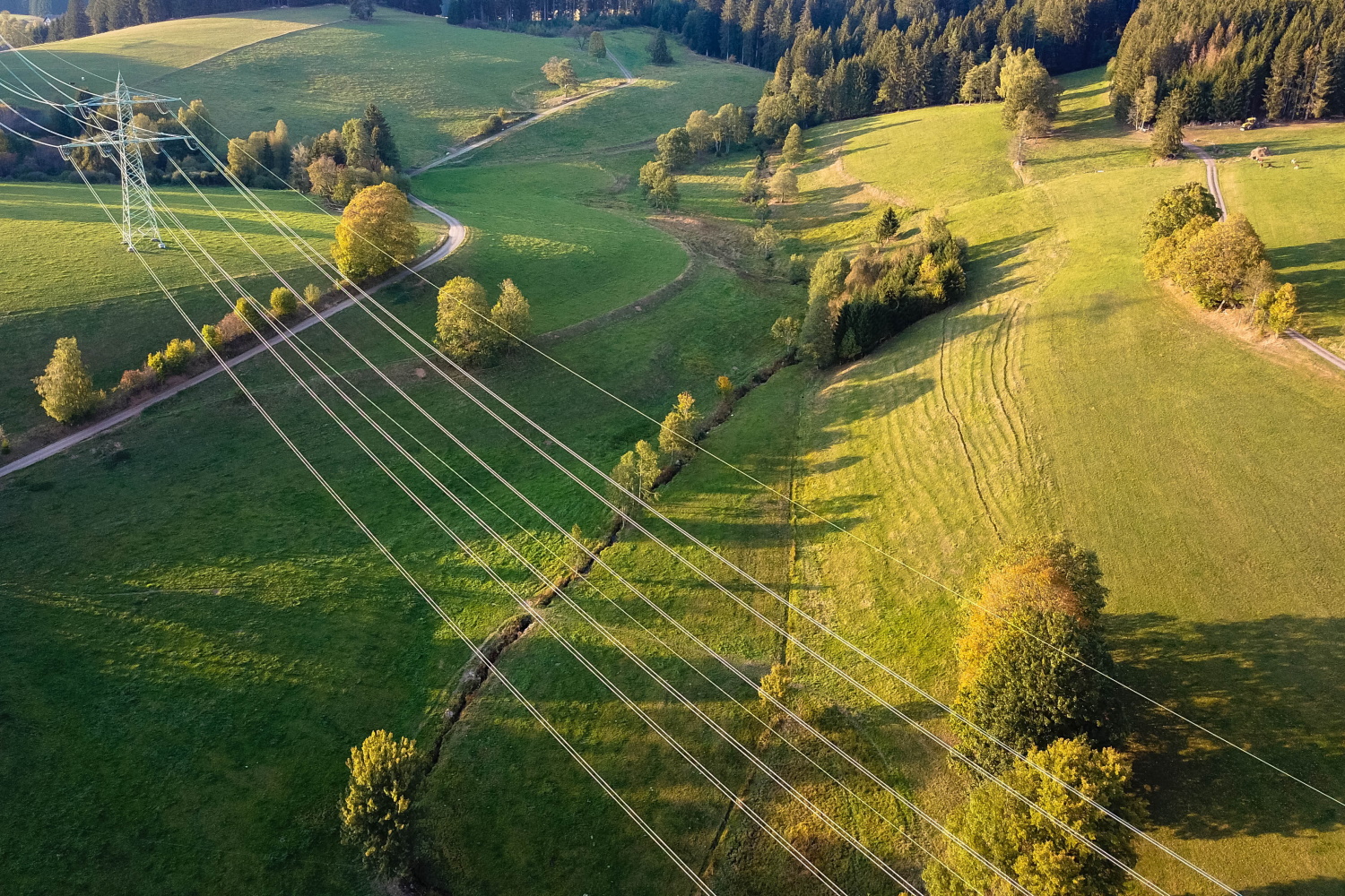 Luftaufnahme von Stromleitungen an Masten über grüner Wiese.